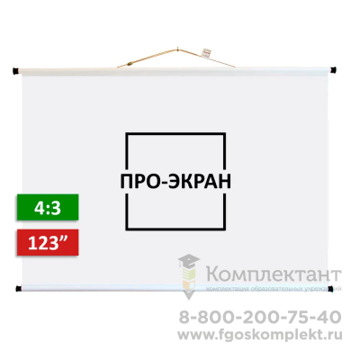 Экран для проектора ПРО-ЭКРАН 250 на 188 см (4:3), 123 дюймов