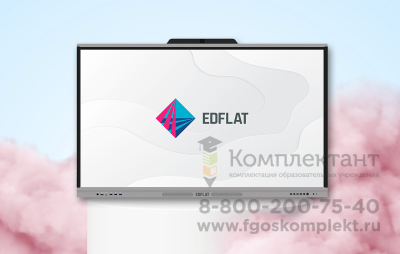Интерактивная панель для образования EDFLAT EDF55EH 