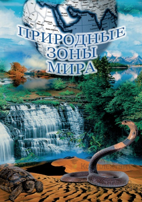 DVD Природные зоны Мира. по ФГОС купить по низким ценам в г. Москва